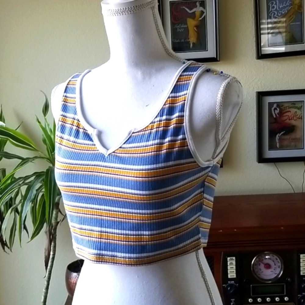 Retro Striped Cropped Top